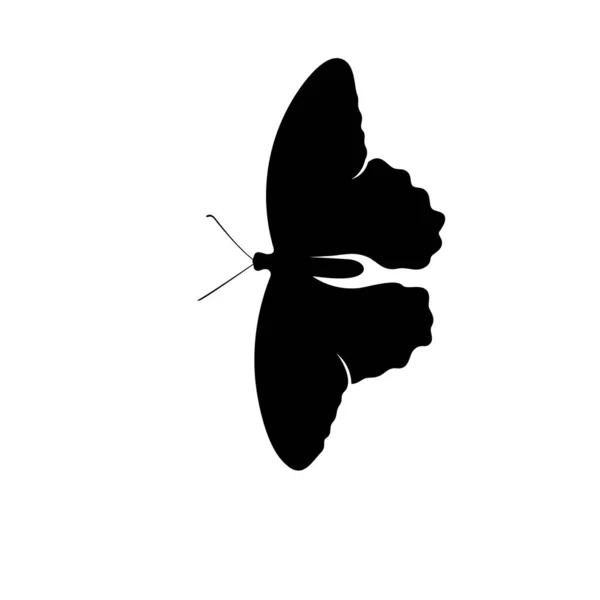 Schmetterling Logo Design Vektor. Schmetterling Logo Vorlage Illustration — Stockvektor