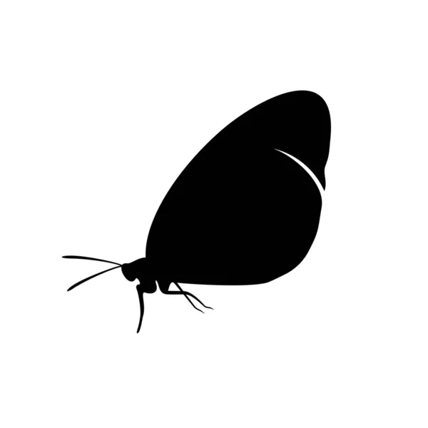 Vector de diseño de logotipo de mariposa. Plantilla de logotipo de mariposa ilustración — Archivo Imágenes Vectoriales