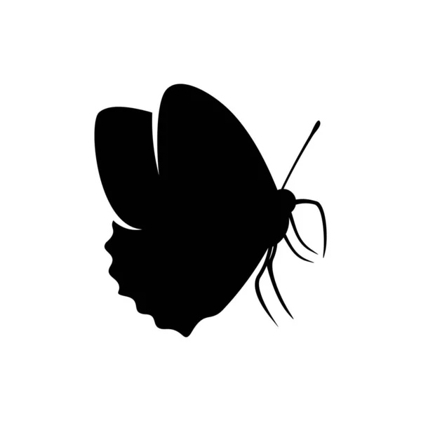 Vector de diseño de logotipo de mariposa. Plantilla de logotipo de mariposa ilustración — Archivo Imágenes Vectoriales