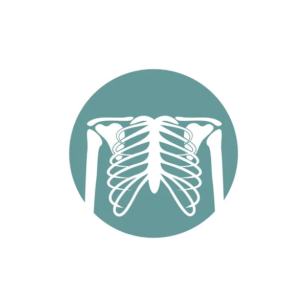 Osso humano ortopédico Logo Concept Vector. Imagem de raio-X ósseo das articulações humanas. Desenho plano do esqueleto da anatomia Ilustração do modelo. Símbolo do ícone — Vetor de Stock