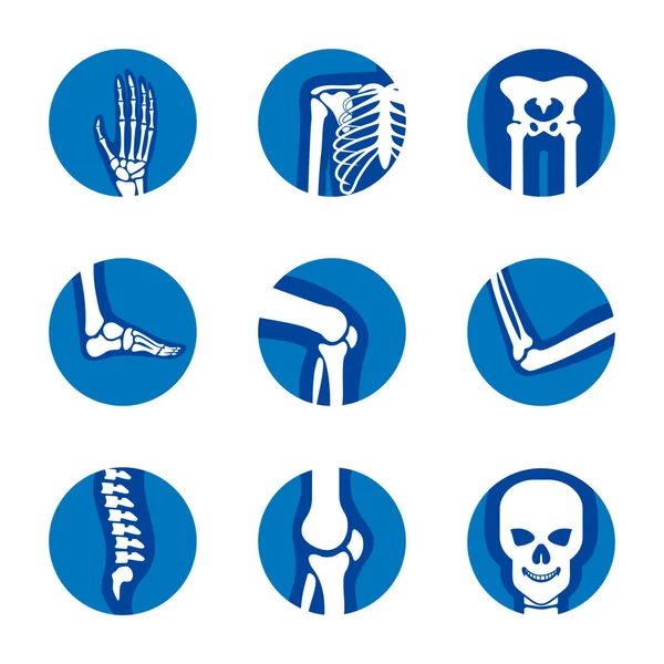 Satz orthopädischer Logokonzepte für menschliche Knochen. Knochen-Röntgenbild menschlicher Gelenke. Anatomie Skelett flache Design-Vorlage Illustration. Symbolbild — Stockvektor