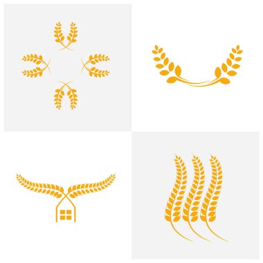 Tarım Buğday şablonu vektörü, Lüks Buğday Logosu Konsepti, Simge Simgesi