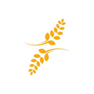 Tarım Buğday logo şablonu vektörü, Lüks Buğday Logosu Kavramı, Simge Sembolü