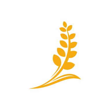 Tarım Buğday logo şablonu vektörü, Lüks Buğday Logosu Kavramı, Simge Sembolü