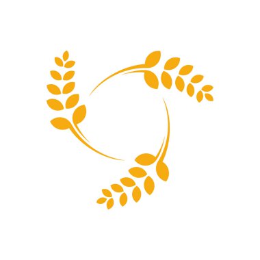 Tarım Buğday logo şablonu vektörü, Lüks Buğday Logosu Kavramı, Simge Sembolü