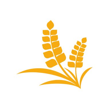Tarım Buğday logo şablonu vektörü, Lüks Buğday Logosu Kavramı, Simge Sembolü