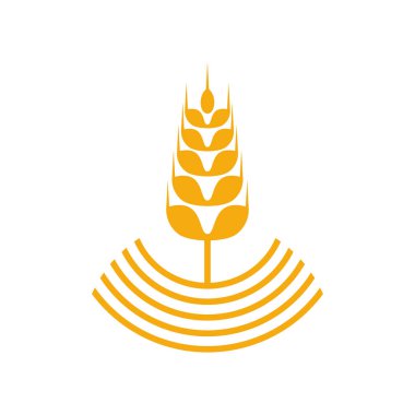 Tarım Buğday logo şablonu vektörü, Lüks Buğday Logosu Kavramı, Simge Sembolü