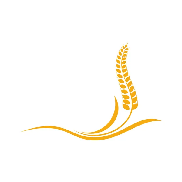 Agriculture Wheat logo template vector, Luxury Wheat Logo Concept, Icon Symbol — 스톡 벡터