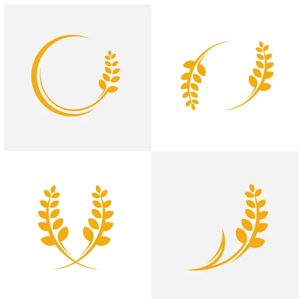 Uppsättning av jordbruk Vete logotyp vektor, Lyx Vete logotyp Koncept, Ikon symbol — Stock vektor