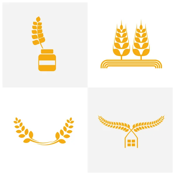Conjunto de vector de plantilla de logotipo de trigo de agricultura, concepto de logotipo de trigo de lujo, símbolo de icono — Vector de stock
