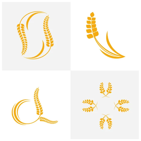 Ensemble de vecteur de logo de blé agricole, Concept de logo de blé de luxe, Symbole d'icône — Image vectorielle