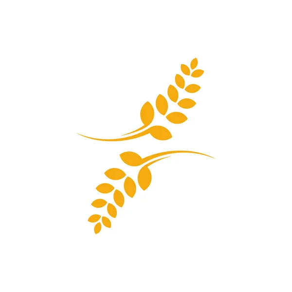 Tarım Buğday logo şablonu vektörü, Lüks Buğday Logosu Kavramı, Simge Sembolü — Stok Vektör