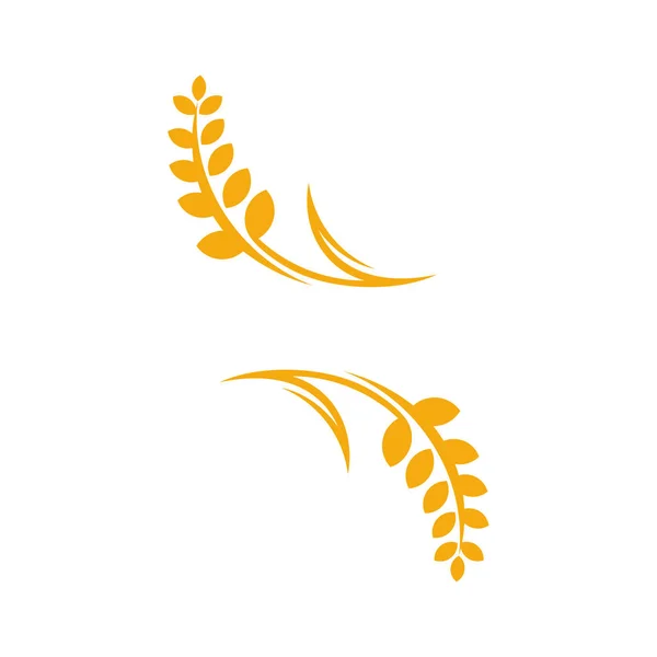 Rolnictwo Pszenica logo wektor szablonu, Luksusowe logo pszenicy, Symbol ikony — Wektor stockowy