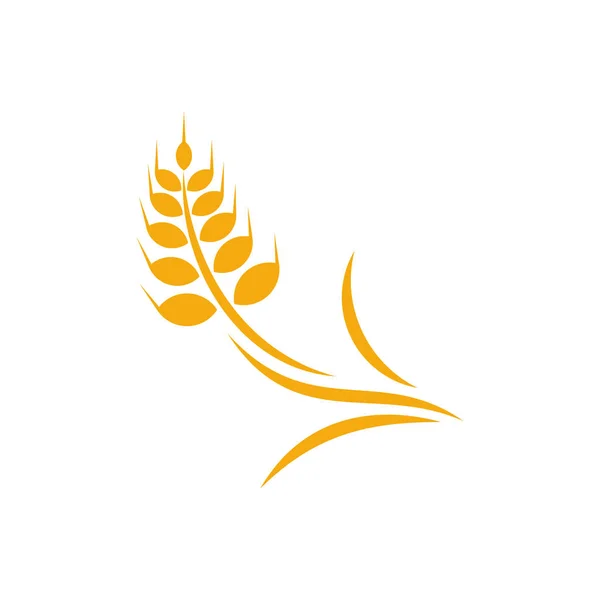 Agricultura Trigo logotipo plantilla vector, concepto de logotipo de trigo de lujo, símbolo del icono — Archivo Imágenes Vectoriales