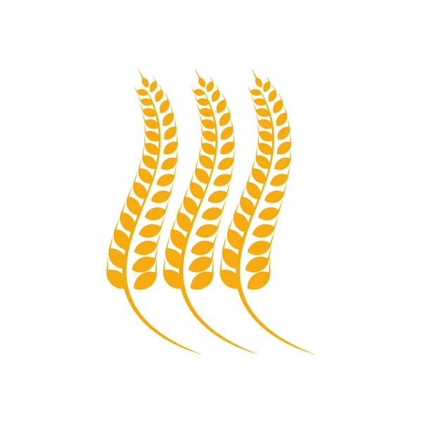 Modèle de logo de blé agricole vecteur, concept de logo de blé de luxe, icône symbole — Image vectorielle