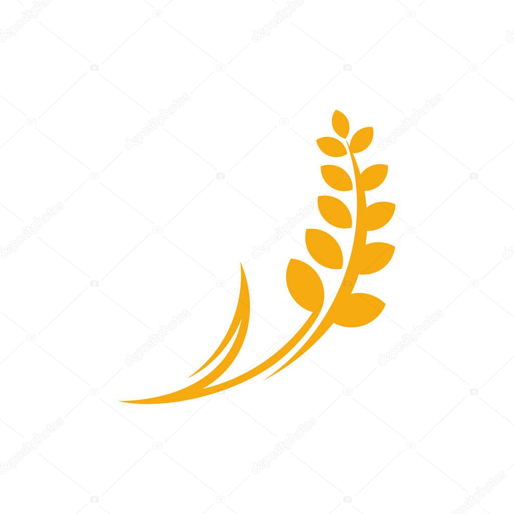 Agriculture Wheat logo template vector, Luxury Wheat Logo Concept, Icon Symbol