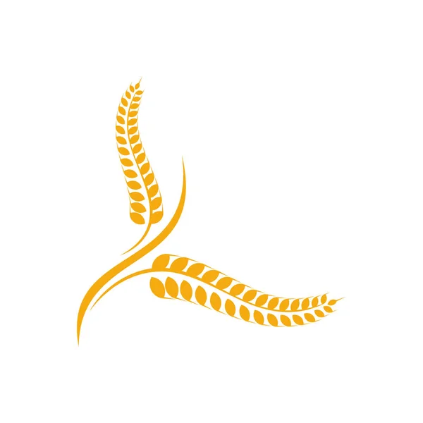 Agricultura Trigo logotipo plantilla vector, concepto de logotipo de trigo de lujo, símbolo del icono — Archivo Imágenes Vectoriales