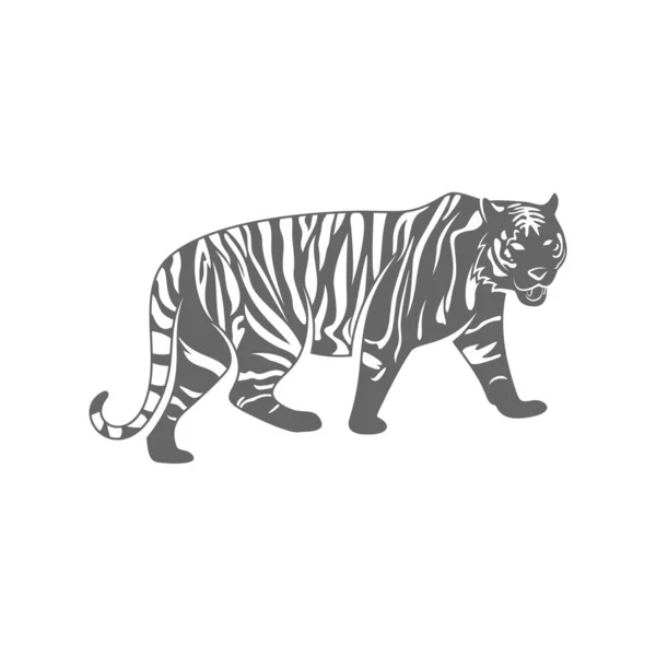 Wektor projektowania logo tygrysa. Wzór logo tygrysa — Wektor stockowy