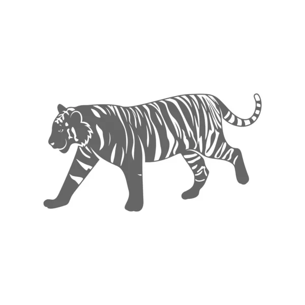 Вектор дизайна Тигра. Шаблон логотипа Тигра — стоковый вектор
