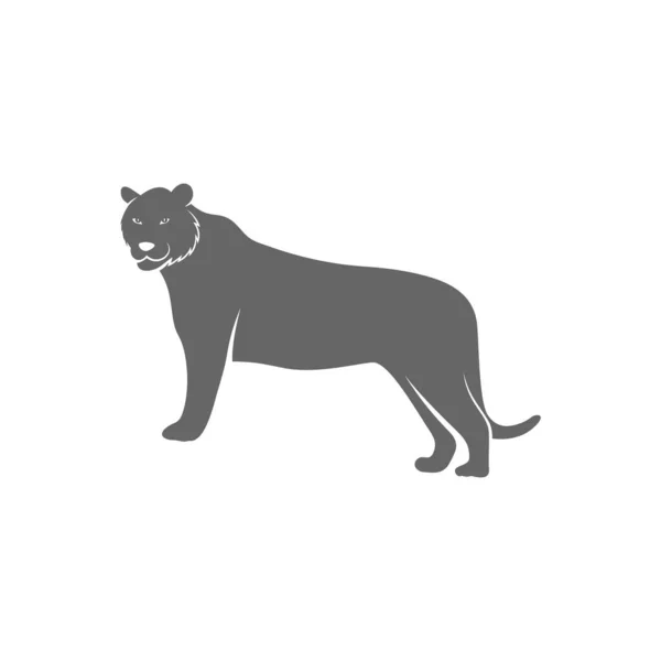 Tiger Logo Design Vector. Mall för tigerlogotyp — Stock vektor