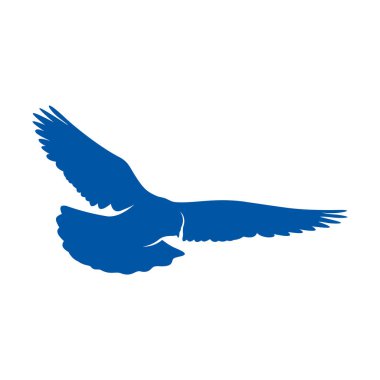 Güvercin logosu konsept vektörü. Kuş logosu şablonu. Simge sembolü. Görüntü