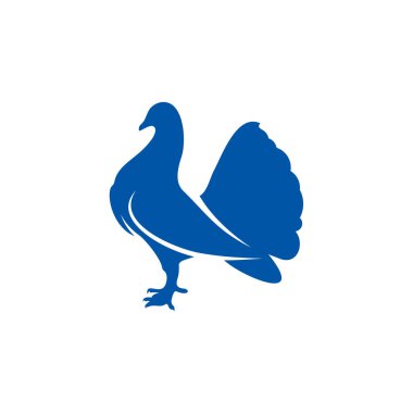 Güvercin logosu konsept vektörü. Kuş logosu şablonu. Simge sembolü. Görüntü