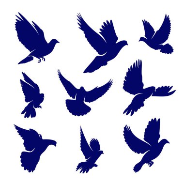 Dove logo tasarım vektörü seti. Kuş logosu şablonu. Simge sembolü. Görüntü