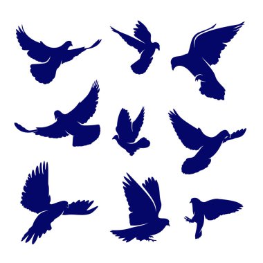 Dove logo tasarım vektörü seti. Kuş logosu şablonu. Simge sembolü. Görüntü
