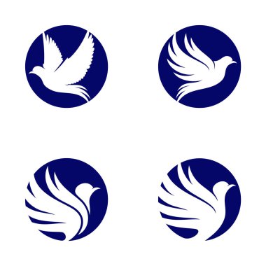 Dove logo tasarım vektörü seti. Kuş logosu şablonu. Simge sembolü. Görüntü