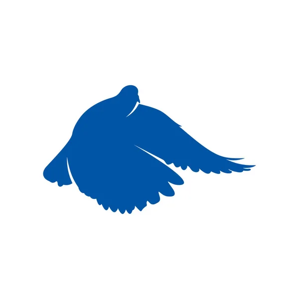 Colombe logo design concept vecteur. Modèle de logo oiseau. Icône symbole. Illustration — Image vectorielle