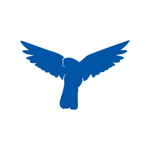 Colombe logo design concept vecteur. Modèle de logo oiseau. Icône symbole. Illustration — Image vectorielle