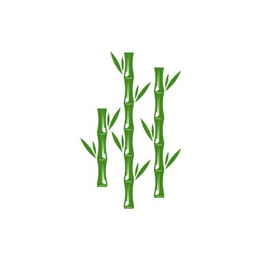 Bambu logo şablonu. Yeşil bambu ağaçlarının vektör tasarımı. Bambu sapı logosu