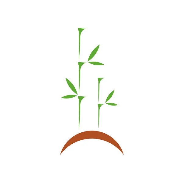 Șablon logo de bambus. Designul vectorial al copacilor de bambus verde. Logotip stem de bambus — Vector de stoc