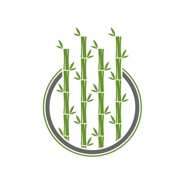 Șablon logo de bambus. Designul vectorial al copacilor de bambus verde. Logotip stem de bambus — Vector de stoc