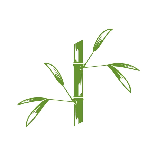Plantilla de logotipo de bambú. Árboles de bambú verde vector de diseño. Logotipo tallo de bambú — Archivo Imágenes Vectoriales