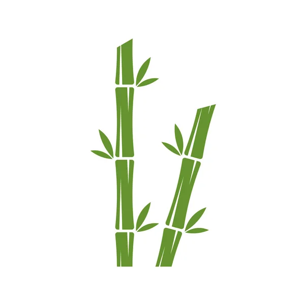 Modèle de logo en bambou. Conception vectorielle d'arbres de bambou vert. Logotype de tige de bambou — Image vectorielle