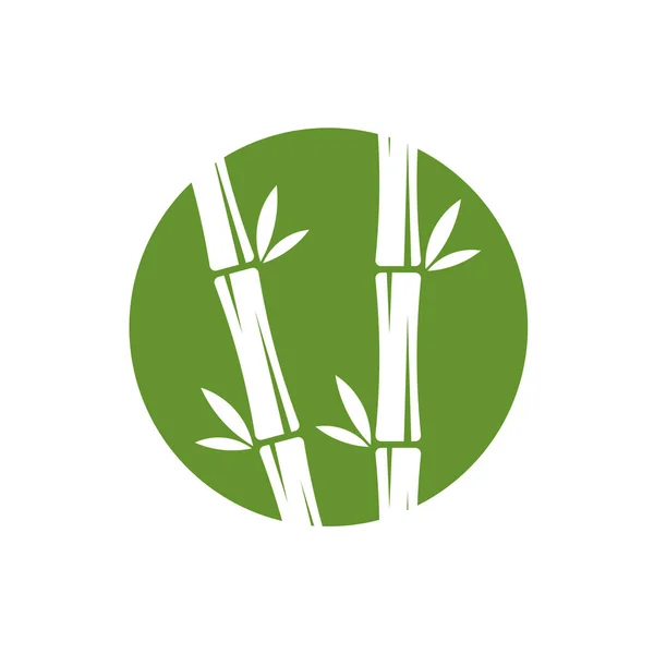 Bamboo logo template. Green bamboo trees vector design. Bamboo stem logotype — Stock Vector
