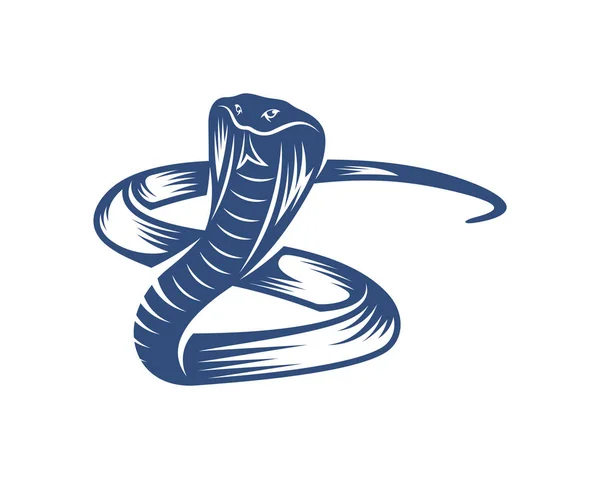 Vetor Projeto Logotipo Serpente Rei Cobra Gráfico Animal Ilustração Modelo — Vetor de Stock