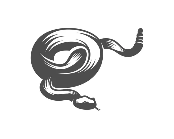 Viper Snake Logo Design Vector Grafica Animale Snake Design Modello — Vettoriale Stock