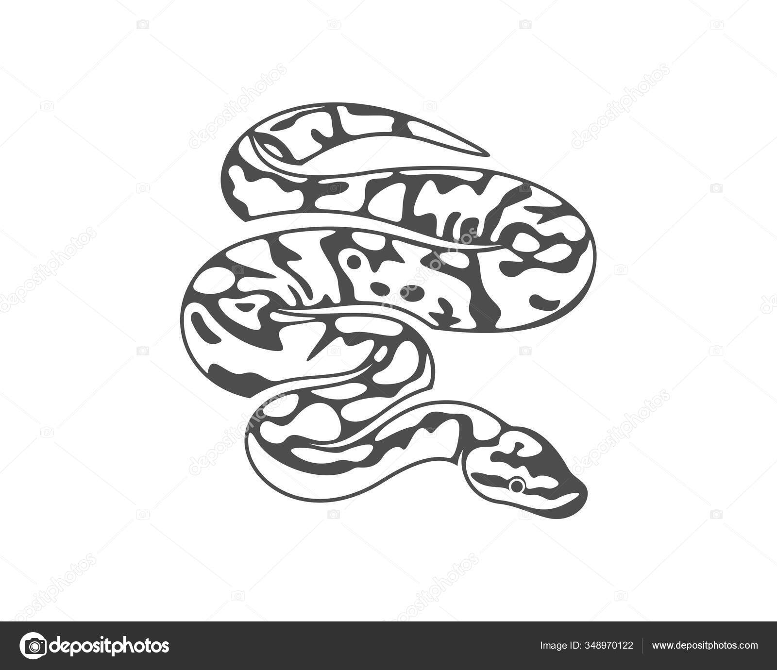 Python Serpiente Logo Vector Animal Gráfico Serpiente Diseño Plantilla ...