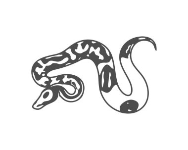 Python yılan logo vektörü, Hayvan grafiği, Yılan tasarım şablonu çizimi