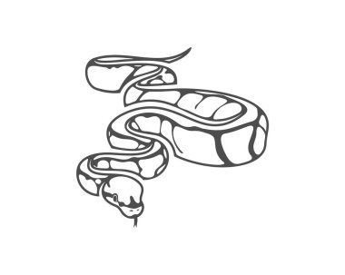 Python yılan logo vektörü, Hayvan grafiği, Yılan tasarım şablonu çizimi
