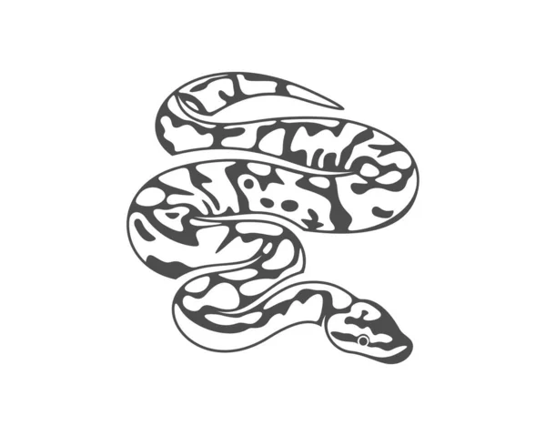 Python yılan logo vektörü, Hayvan grafiği, Yılan tasarım şablonu çizimi