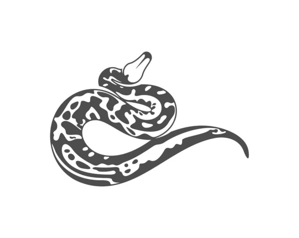 Vecteur Logo Serpent Python Image Animalière Illustration Modèle Conception Serpent — Image vectorielle