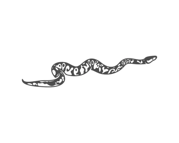 Wektor Logo Węża Pythona Grafika Zwierzęca Ilustracja Szablonu Projektu Węża — Wektor stockowy