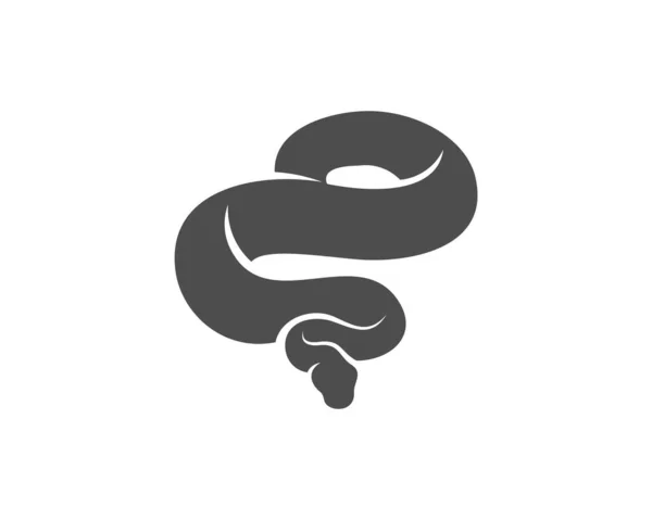 Python Logotipo Serpente Vetor Animal Gráfico Snake Design Modelo Ilustração — Vetor de Stock