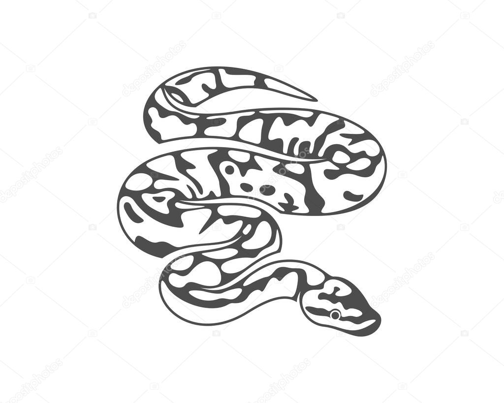 Python snake logo vector, Animal graphic, Snake design Template illustration