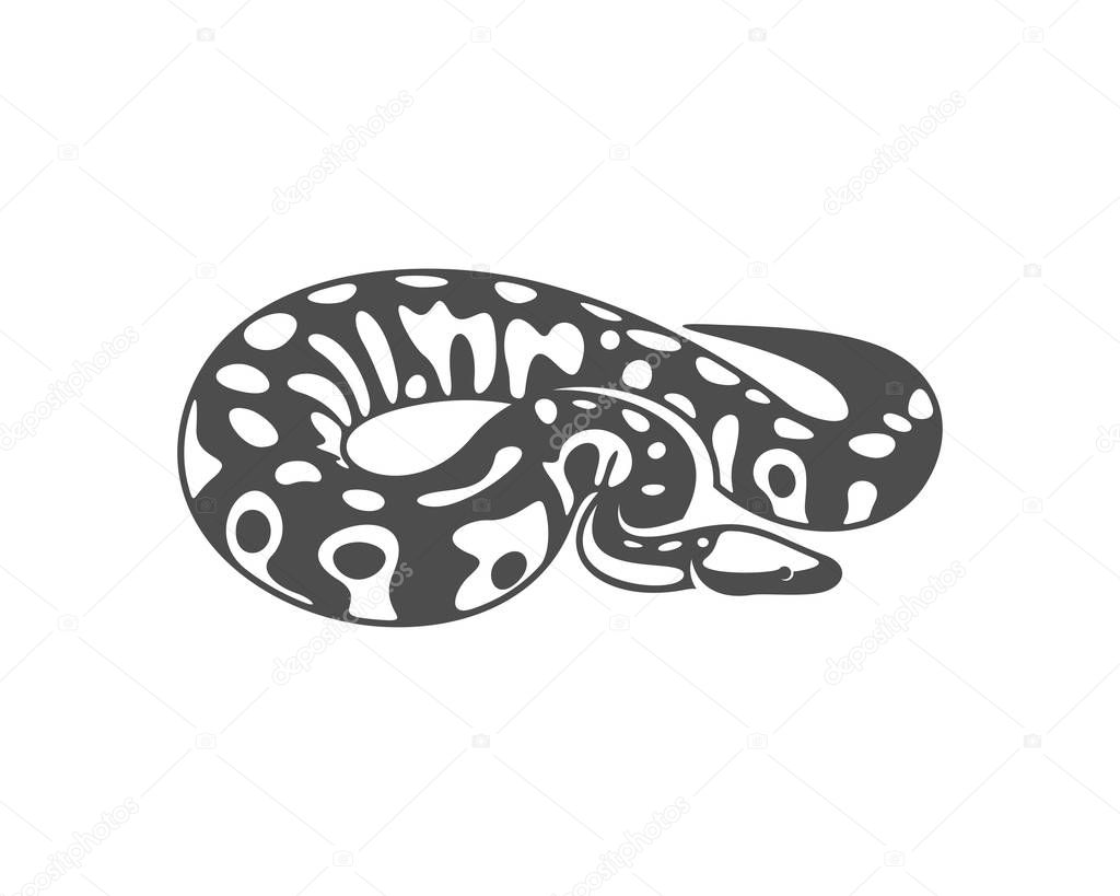 Python snake logo vector, Animal graphic, Snake design Template illustration