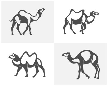 Deve logo vektörü kümesi, Hayvan grafiği, Deve tasarımı Şablonu çizimi