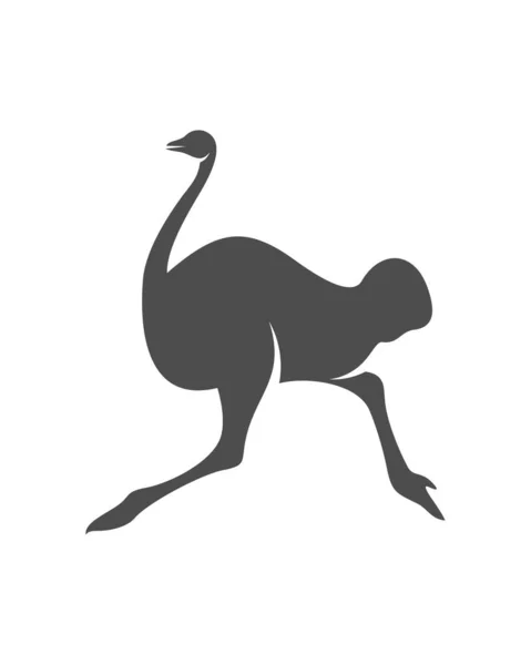 鸵鸟标识向量 动物图形 鸵鸟设计模板插图 — 图库矢量图片